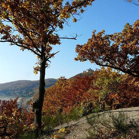 Belvedere Bio Hotel Garni & Suitehotel Am Edersee Waldeck  Exterior photo